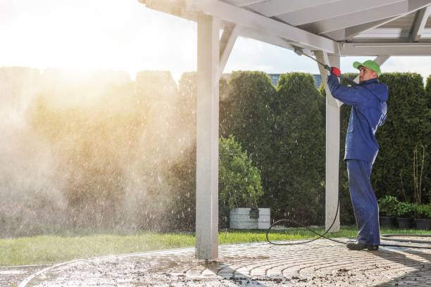 Best Vinyl Siding Pressure Washing in Galena Park, TX