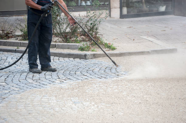 Best Fence Cleaning and Maintenance in Galena Park, TX