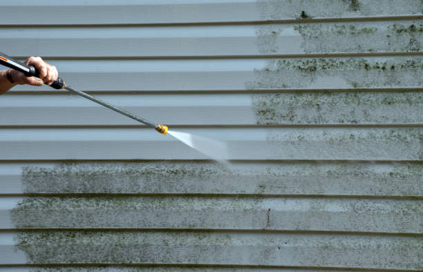 Best Driveway Cleaning and Restoration in Galena Park, TX