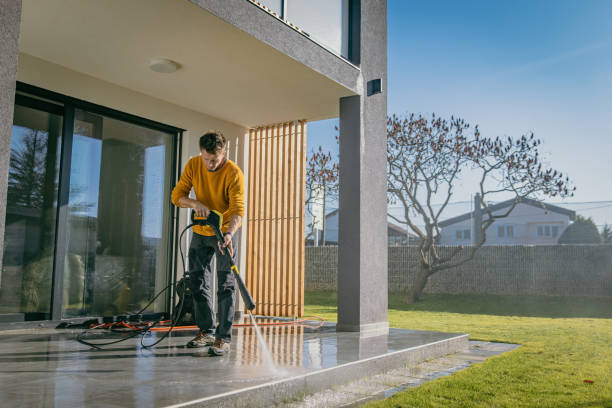 Best Roof Cleaning and Mildew Removal in Galena Park, TX